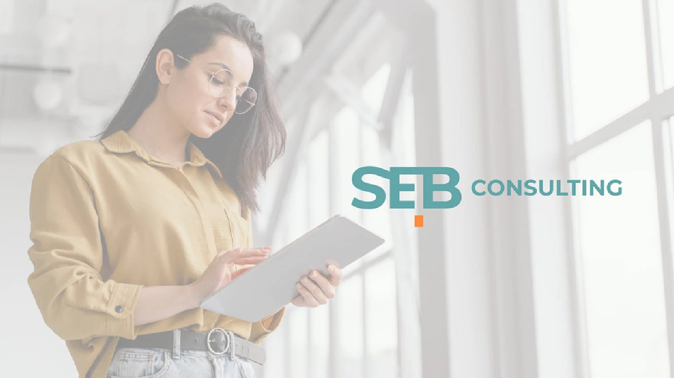 SEB Consulting Branding